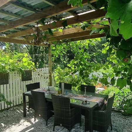 Pheasant Lodge Paparoa Bagian luar foto