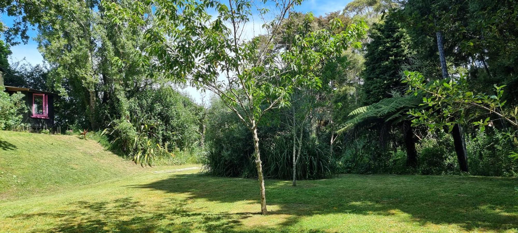 Pheasant Lodge Paparoa Bagian luar foto